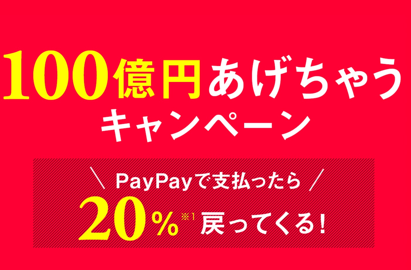 PayPayキャンペーンイメージ