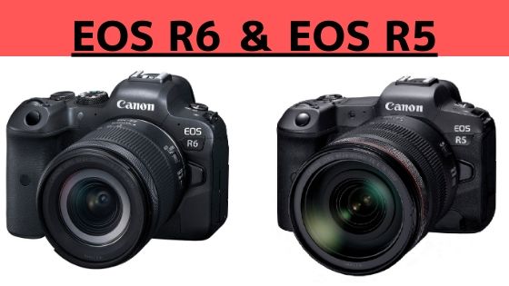 EOS R6とEOS R5のスペック比較と評価まとめ記事イメージ