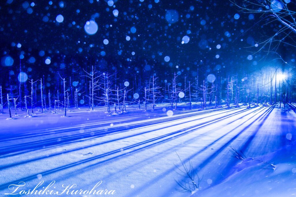 ストロボを使った雪の風景写真