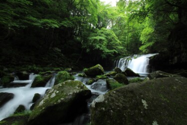 長野県 長野県の蓼科大滝